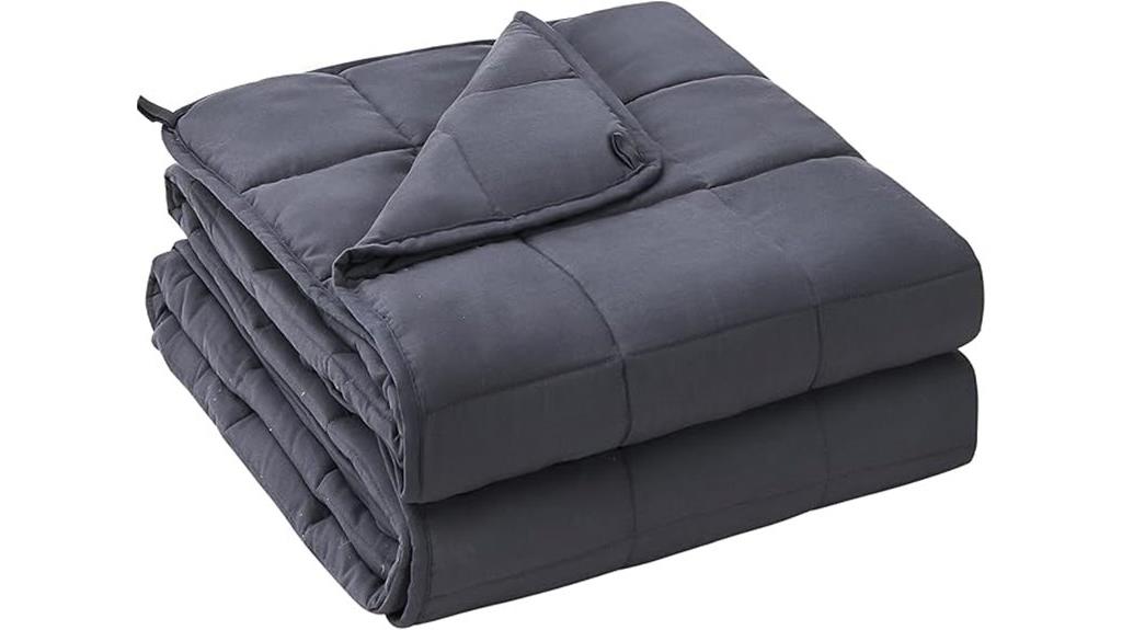 20 lb queen sized grey blanket