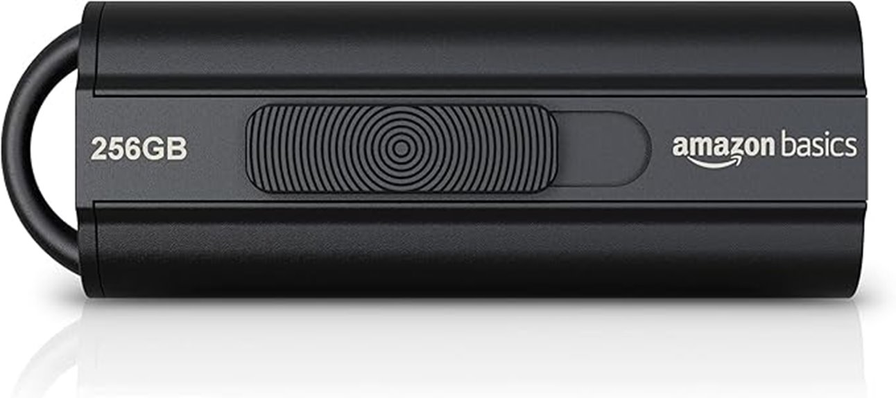 amazon basics 256gb usb