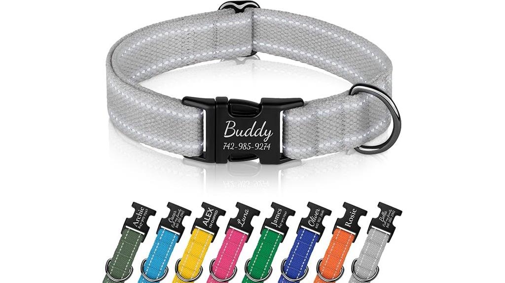 custom engraved dog collar