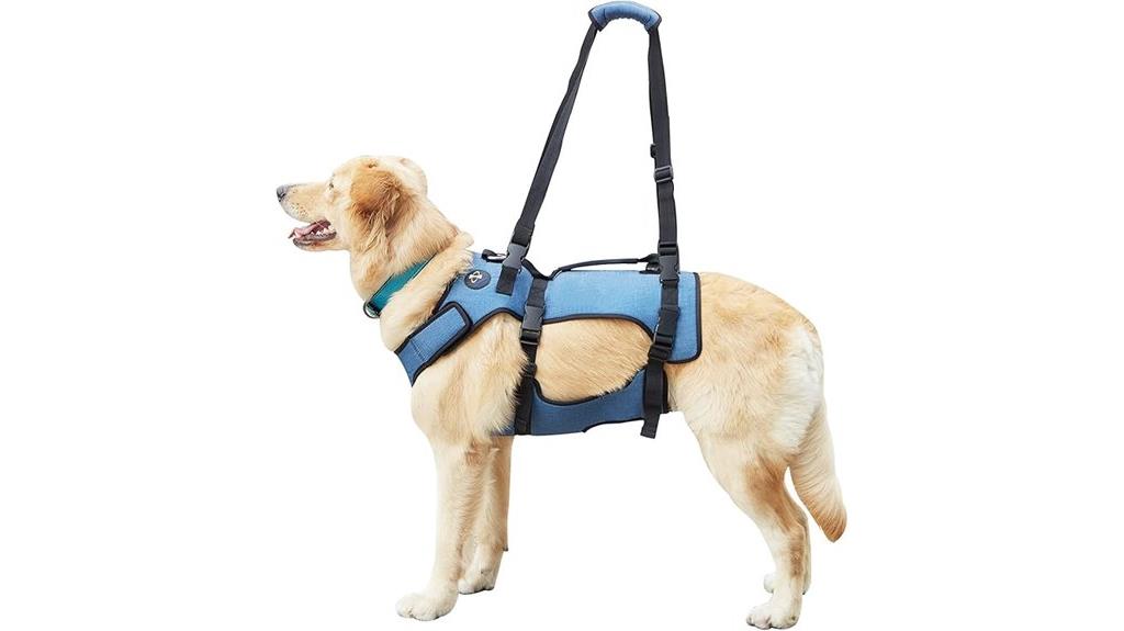 dog support and recovery harness