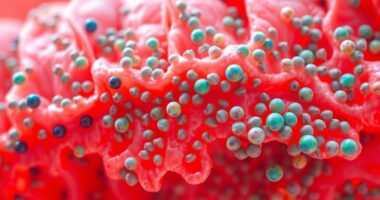 gut health influences metabolic processes
