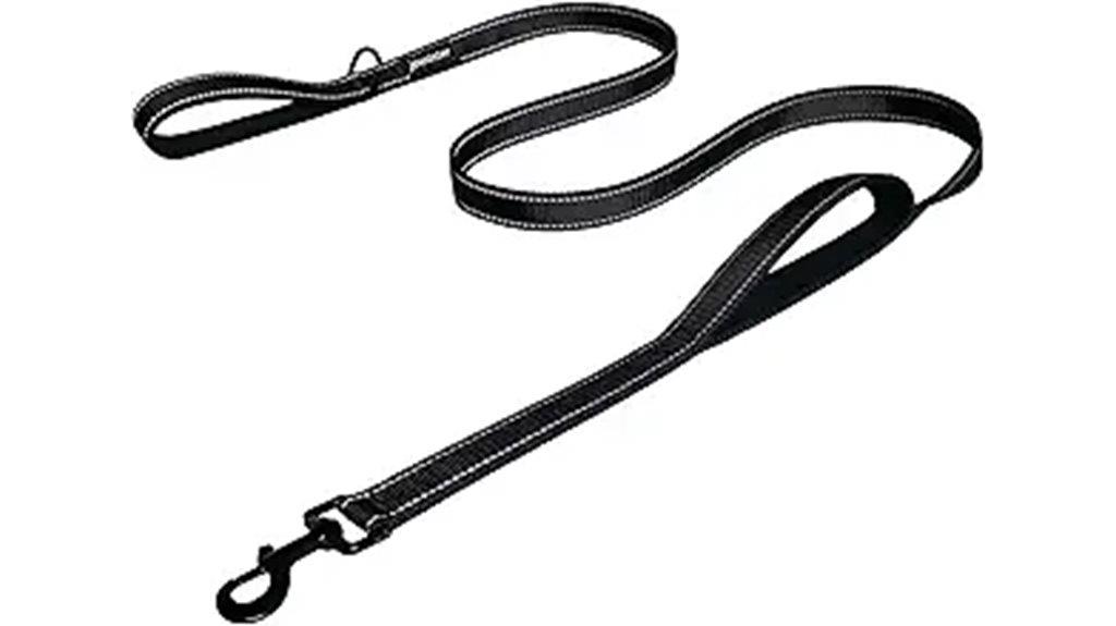 heavy duty leash with dual handles