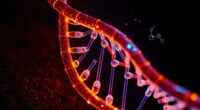 oxidative stress accelerates aging