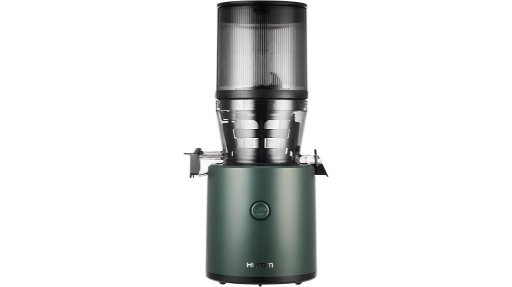 slow juicer for fruits