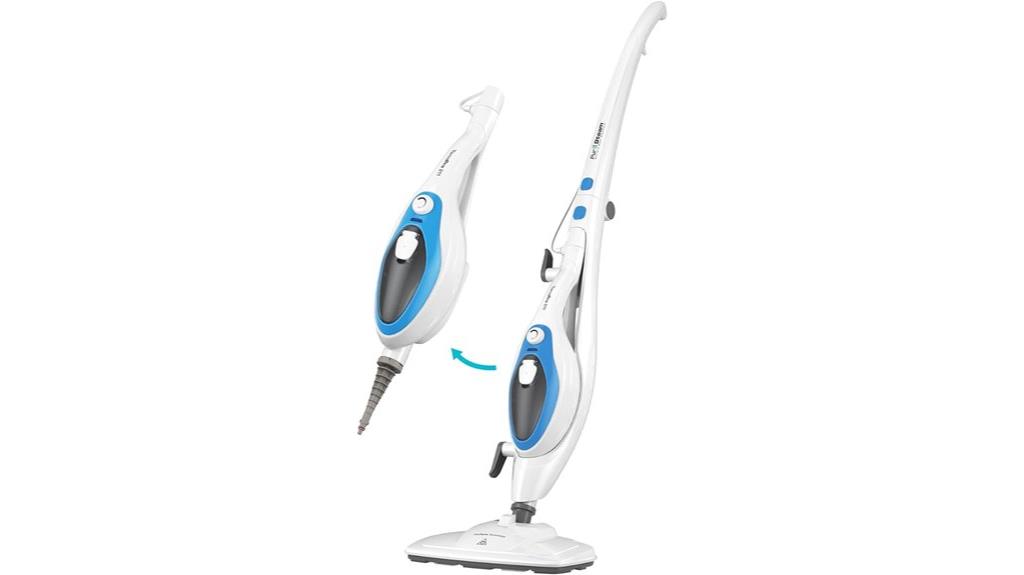 ten in one steam cleaning