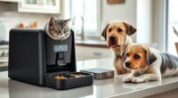 top automatic pet feeders