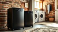 top basement dehumidifier picks
