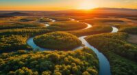 top beginner drone camera options