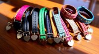 top pet collar and tag options
