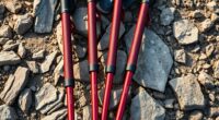 top trekking pole recommendations