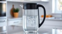 top water filter pitchers