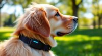 pet health tracking devices