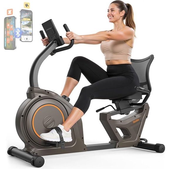 Niceday Recumbent Exercise Bike with Heart Rate Monitor