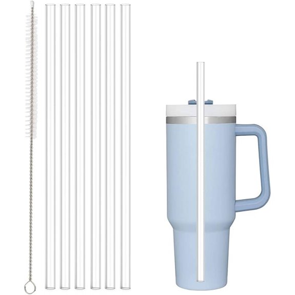 Replacement Clear Straws for Stanley Tumblers (6 Pack)
