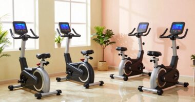 top 15 senior recumbent bikes
