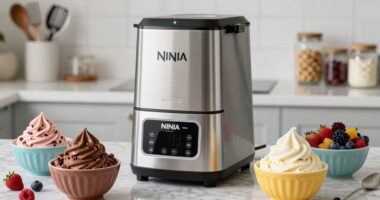 top ninja creami recipes