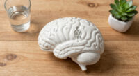 The hidden skeleton “gatekeeper” inside brain cells could help fight Alzheimer's