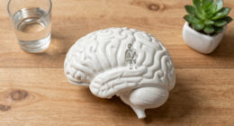 The hidden skeleton “gatekeeper” inside brain cells could help fight Alzheimer's