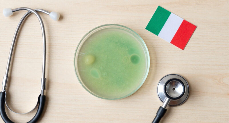 Fleischfressendes Bakterium Italien