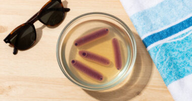 Louisiana Vibrio Vulnificus Outbreak